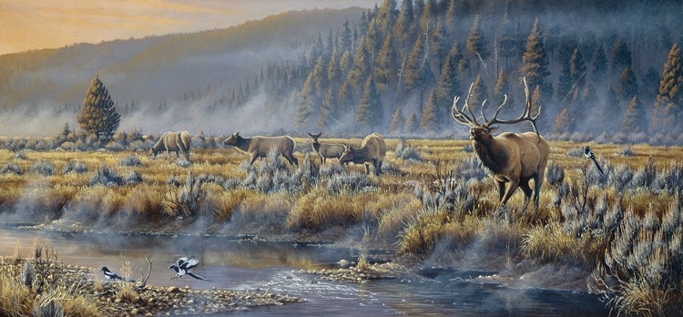 Picture of AUTUMN CLASSIC - ELK