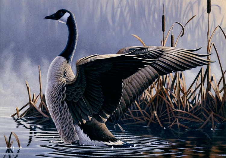 Picture of 1992 CANADA GOOSE