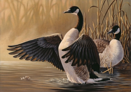 Picture of 1994 CANADA GEESE