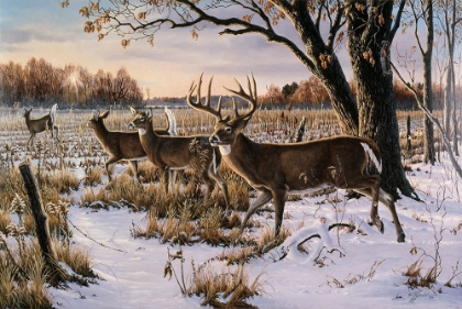 Picture of CAUTIOUS CROSSING - WHITETAILS