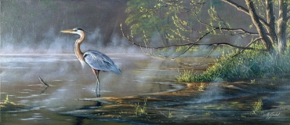 Picture of QUIET COVE - GREAT BLUE HERON