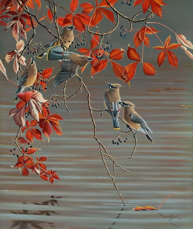 Picture of AUTUMN HARVEST - CEDAR WAXWING