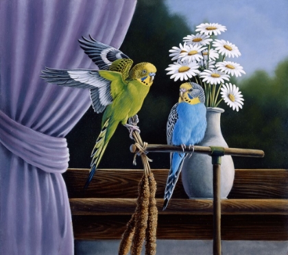 Picture of PARAKEETS