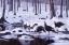 Picture of HARDWOOD CREEK - WILD TURKEYS