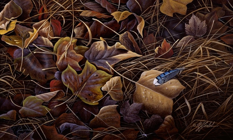 Picture of COLORS OF AUTUMN