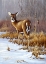 Picture of ON ALERT