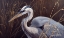 Picture of GREAT BLUE HERON