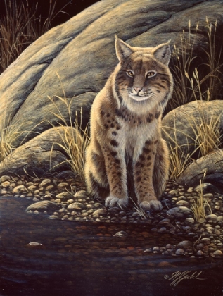 Picture of BACKLIGHT-BOBCAT