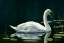 Picture of STILLWATER