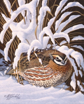 Picture of HIDING QUAIL