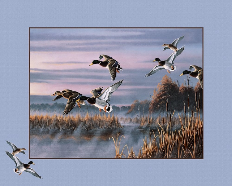 Picture of DUCKS IN FLIGHT 1