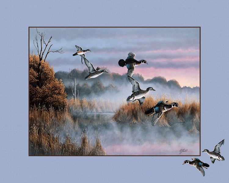 Picture of DUCKS IN FLIGHT 2