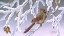 Picture of WINTER LADY - CARDINAL
