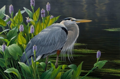 Picture of BIDING TIME GREAT BLUE HERON