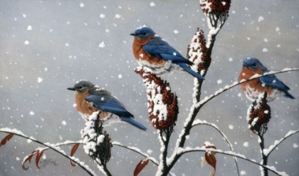 Picture of WINTER TRIO