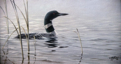 Picture of EMERGING LOON