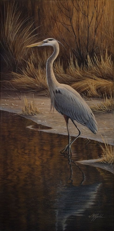 Picture of HERON WADING