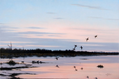 Picture of SUNSET MARCH BLACK DUCKS