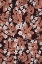 Picture of AUTUMN BLOSSOMS