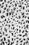 Picture of BLACK AND WHITE LITTLE STROKES