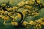Picture of SAKURA TREE