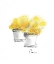 Picture of FLOWER POT DUO