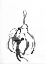 Picture of STRANGE FRUIT II