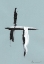 Picture of SWORDPLAY II