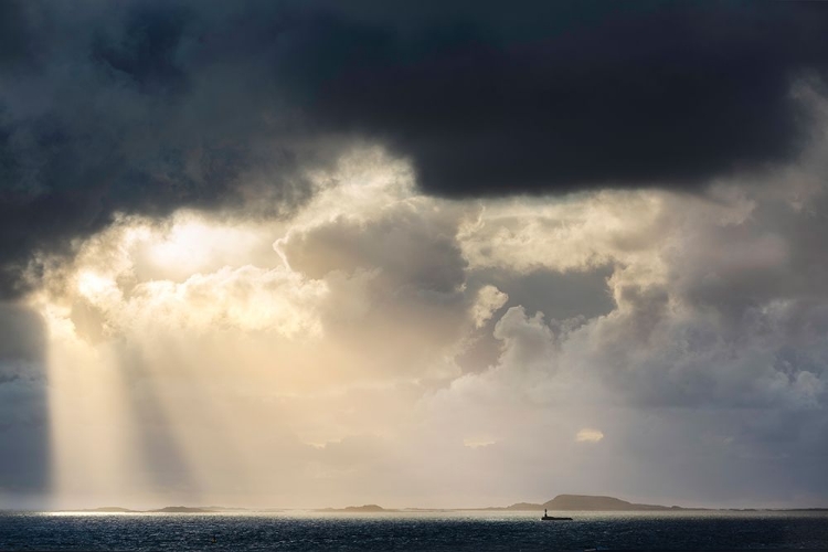 Picture of RAYS OF LIGHT