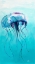 Picture of JELLY FISH
