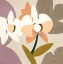 Picture of PAPER ORCHID
