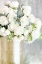 Picture of WHITE ROSES