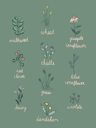 Picture of WILDFLOWER CHART