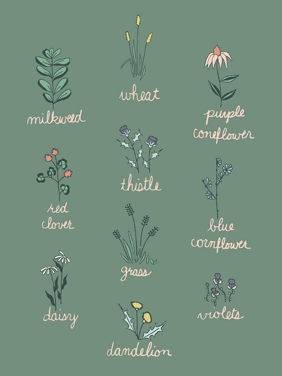 Picture of WILDFLOWER CHART