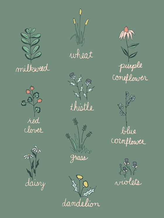 Picture of WILDFLOWER CHART