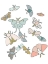 Picture of MOTHS FLUTTER
