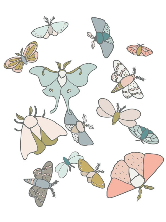 Picture of MOTHS FLUTTER