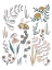 Picture of BEE POLLINATOR