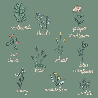 Picture of WILDFLOWER CHART