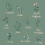 Picture of WILDFLOWER CHART