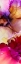 Picture of VIBRANT PINK FLORALS 1