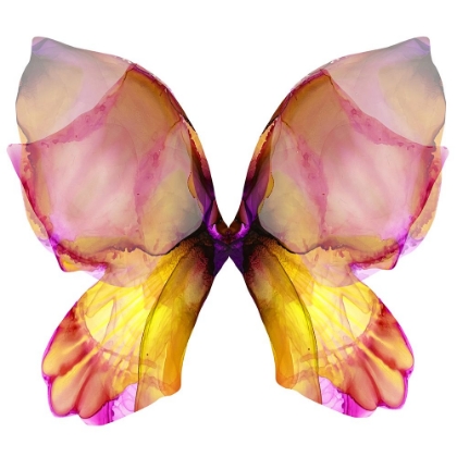 Picture of FLORAL BUTTERFLY 4