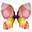Picture of FLORAL BUTTERFLY 4