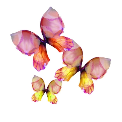 Picture of FLORAL BUTTERFLY TRIO