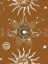 Picture of MOON EQUINOX