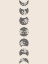 Picture of FLOWER MOONS