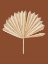Picture of BEIGE LEAF