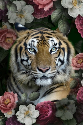 Picture of LUSH GARDEN TIGER
