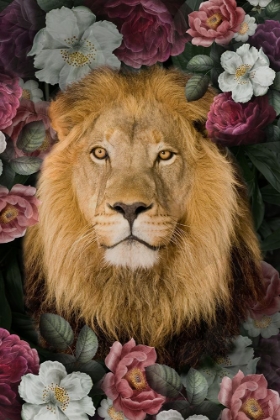 Picture of _LUSH GARDEN LION