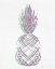 Picture of PINEAPPLE LAYERS 1